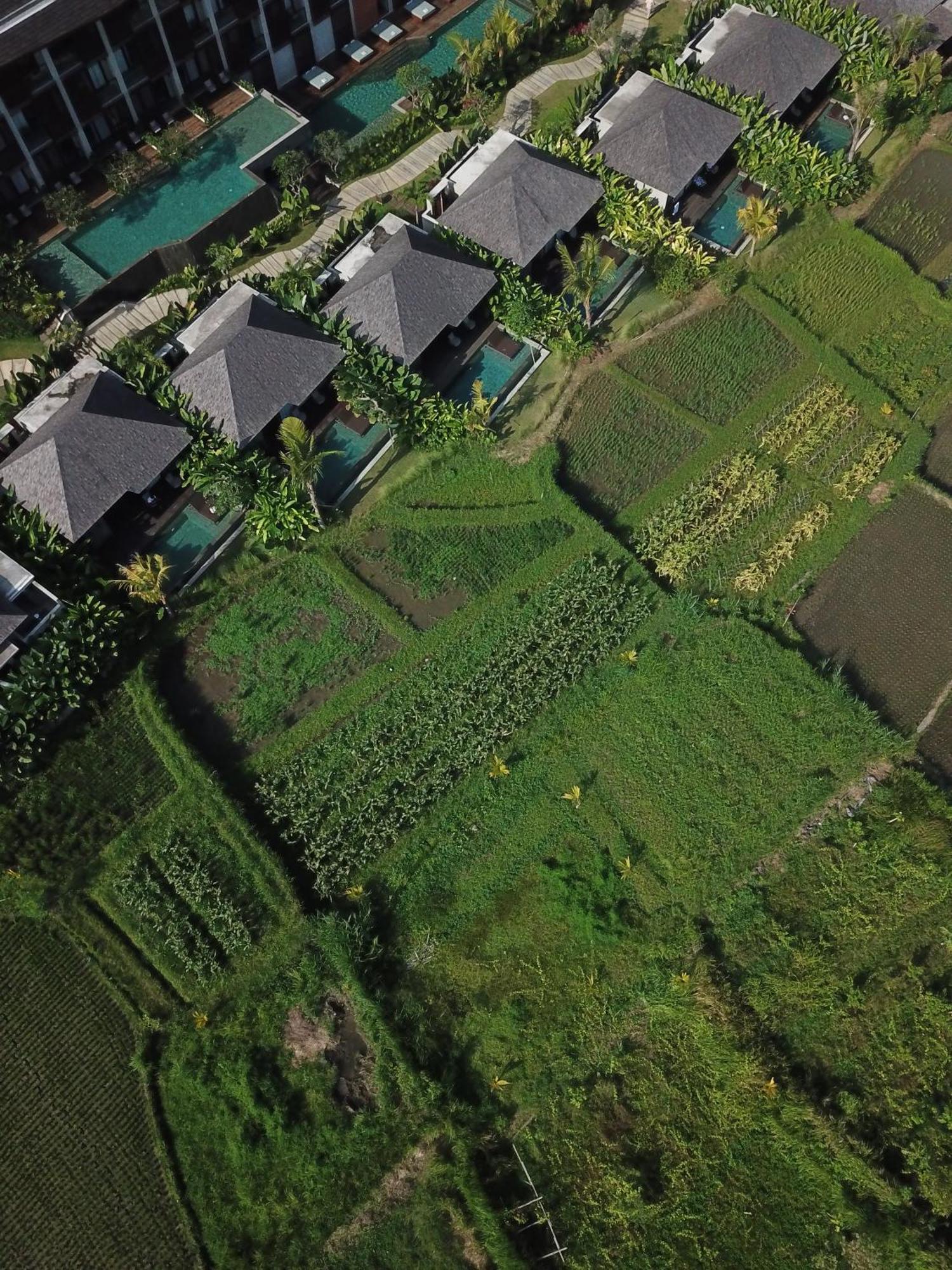 The Garcia Ubud Hotel & Resort Екстериор снимка